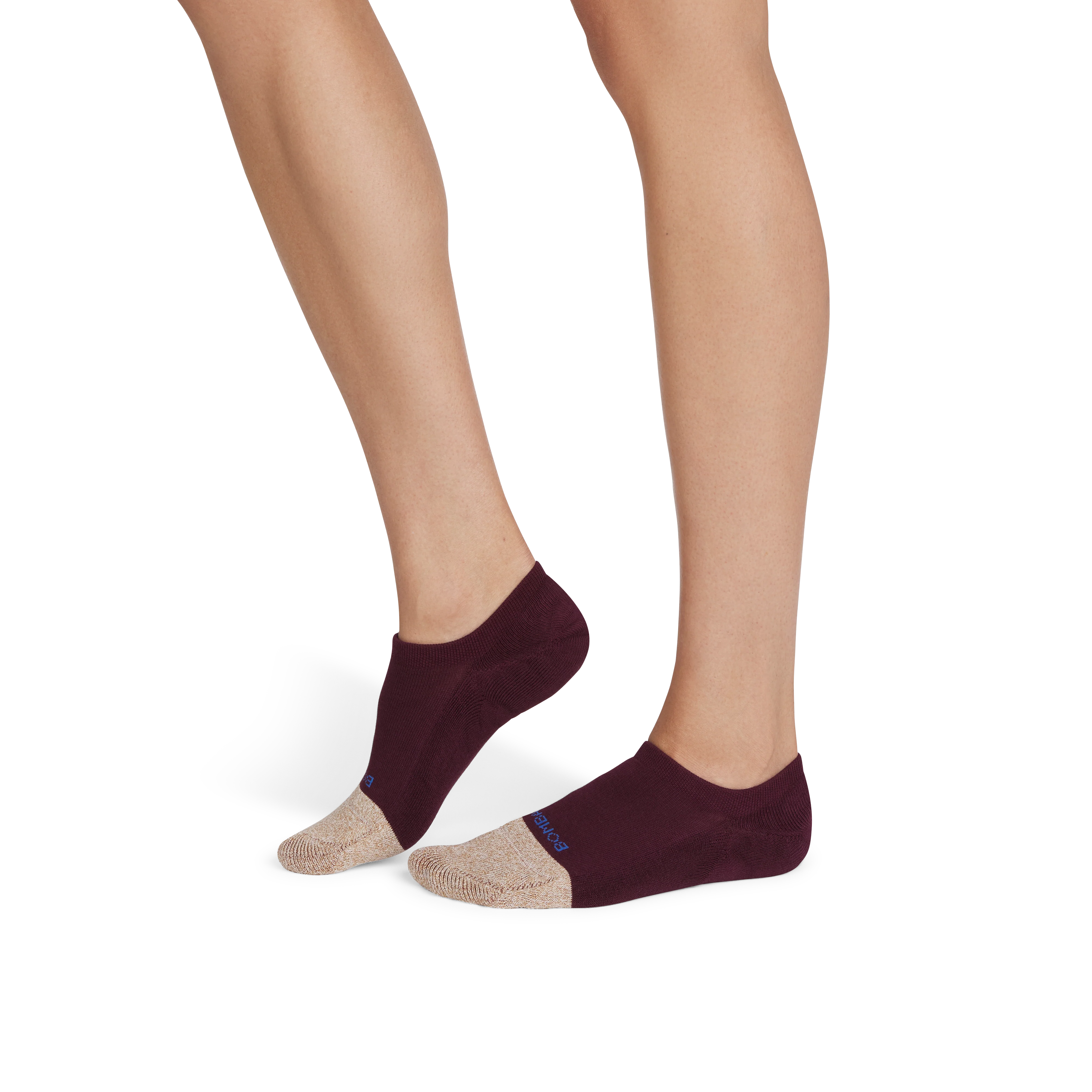 Women's Cushioned No Show Sock 4-Pack - Image 17