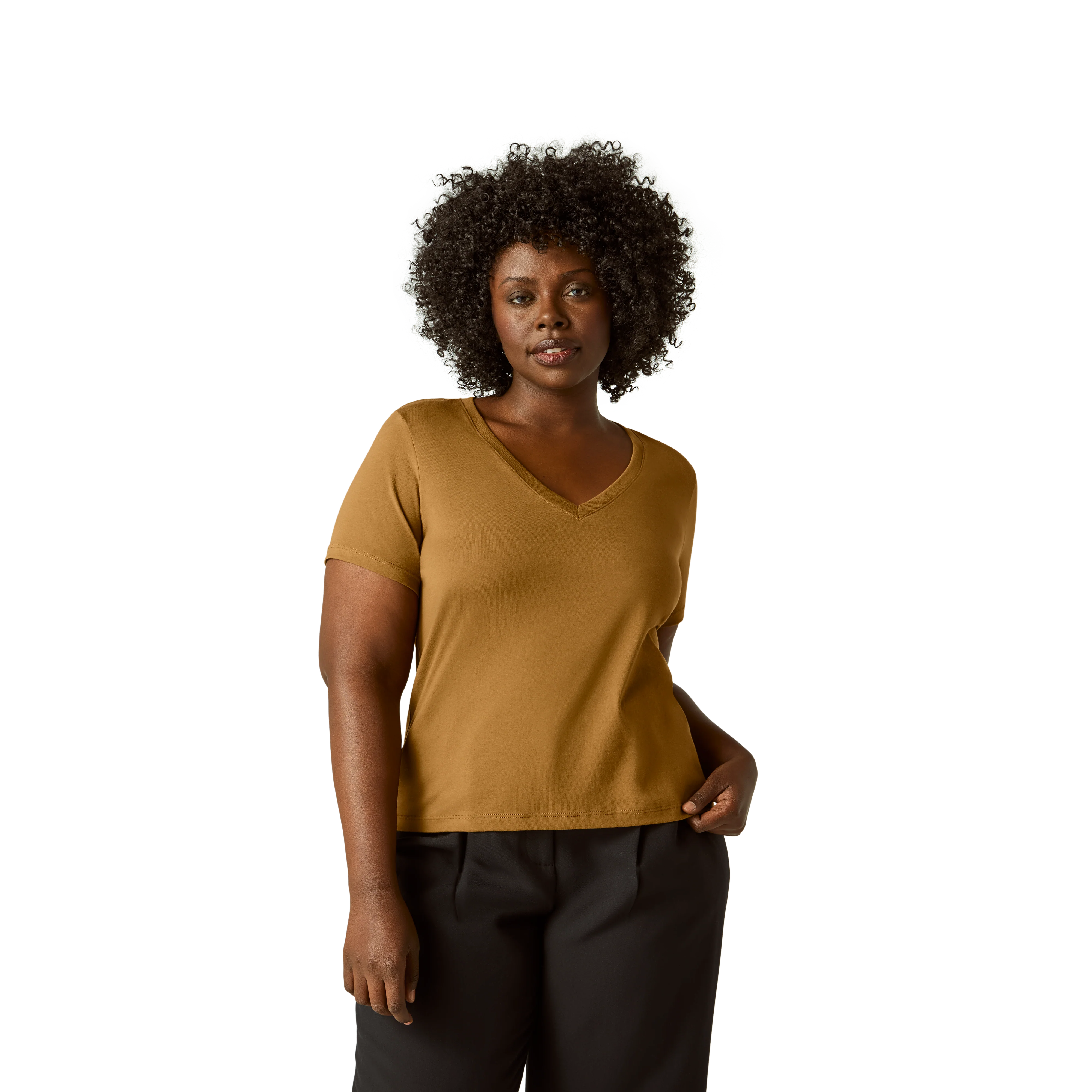 Women's Pima Cotton V-Neck T-Shirt 6-Pack - Image 15